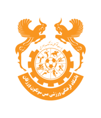 نصیری مدیرعامل باشگاه مس سونگون شد