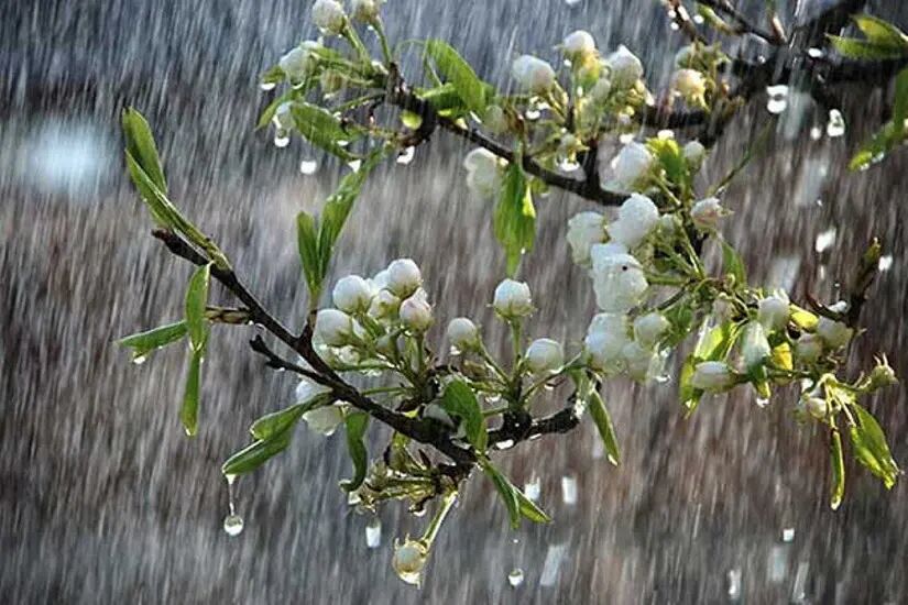 پیش‌بینی بارش‌های رگباری و افزایش دما در آذربایجان‌شرقی