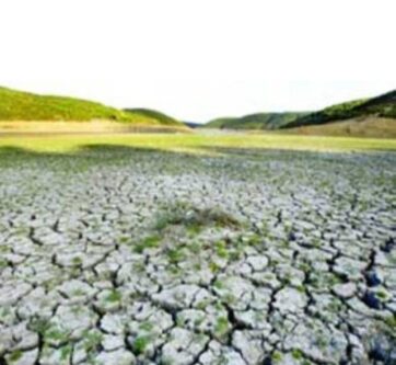 بیش‌از ۳۰ درصد اراضی آبی آذربایجان‌شرقی تحت تأثیر شوری قرار دارند
