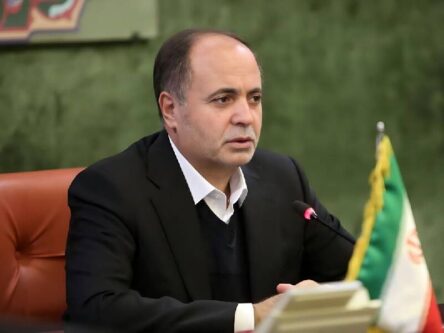 وزیر جهاد کشاورزی: مطالبات گندمکاران هفتگی پرداخت می‌شود
