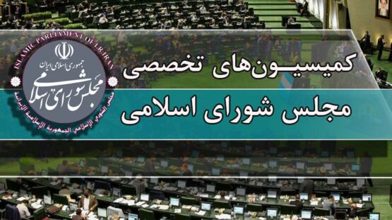 جلسات کمیسیون ها؛ از بررسی وضعیت بیمه‌های درمانی تا انتخابات شورا‌ها