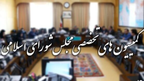 انتخابات کمیسیون‌های مجلس از فردا به صورت الکترونیکی آغاز می‌شود