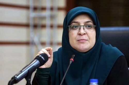 سخنگوی دولت وارد بوشهر شد
